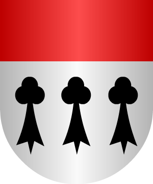 ESCUDO ALEATORIO